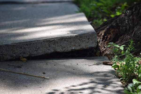Sidewalk Leveling in New Baltimore