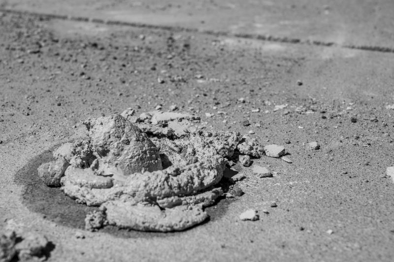 Mild Weather for Leveling